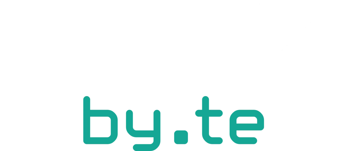 Original logo w t sebytech webagentur münchen